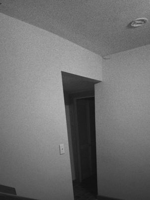 Home: Stairwell Crevice